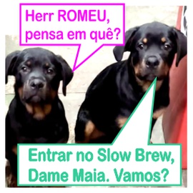 MAIA E ROMEU / Assessorcão